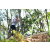 Team 13 / Raid l'Arbre Vert Amazones Bali - VTT