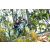 Team 13 / Raid l'Arbre Vert Amazones Bali - VTT