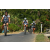 Team 52 / Raid l'Arbre Vert Amazones Bali - VTT