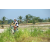 Team 22 / Raid l'Arbre Vert Amazones Bali - VTT