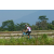 Team 14 / Raid l'Arbre Vert Amazones Bali - VTT