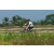 Team 14 / Raid l'Arbre Vert Amazones Bali - VTT