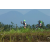 Team 19 / Raid l'Arbre Vert Amazones Bali - VTT