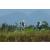 Team 19 / Raid l'Arbre Vert Amazones Bali - VTT