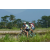 Team 16 / Raid l'Arbre Vert Amazones Bali - VTT