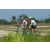Team 16 / Raid l'Arbre Vert Amazones Bali - VTT
