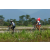 Team 05 / Raid l'Arbre Vert Amazones Bali - VTT