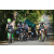 Team 19 / Raid l'Arbre Vert Amazones Bali - VTT