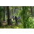 Team 67 / Raid l'Arbre Vert Amazones Bali - VTT