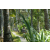 Team 50 / Raid l'Arbre Vert Amazones Bali - VTT