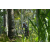 Team 30 / Raid l'Arbre Vert Amazones Bali - VTT