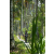 Team 26 / Raid l'Arbre Vert Amazones Bali - VTT
