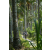Team 64 / Raid l'Arbre Vert Amazones Bali - VTT