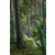 Team 53 / Raid l'Arbre Vert Amazones Bali - VTT