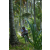 Team 36 / Raid l'Arbre Vert Amazones Bali - VTT