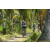 Team 24 / Raid l'Arbre Vert Amazones Bali - VTT