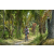 Team 11 / Raid l'Arbre Vert Amazones Bali - VTT