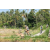 Team 01 / Raid l'Arbre Vert Amazones Bali - VTT