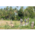 Team 63 / Raid l'Arbre Vert Amazones Bali - VTT