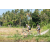 Team 62 / Raid l'Arbre Vert Amazones Bali - VTT