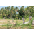 Team 51 / Raid l'Arbre Vert Amazones Bali - VTT