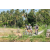 Team 15 / Raid l'Arbre Vert Amazones Bali - VTT