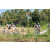 Team 51 / Raid l'Arbre Vert Amazones Bali - VTT