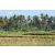Team 45 / Raid l'Arbre Vert Amazones Bali - VTT