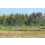 Team 09 / Raid l'Arbre Vert Amazones Bali - VTT