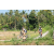 Team 09 / Raid l'Arbre Vert Amazones Bali - VTT
