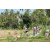 Team 08 / Raid l'Arbre Vert Amazones Bali - VTT