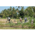 Team 03 / Raid l'Arbre Vert Amazones Bali - VTT