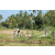 Team 32 / Raid l'Arbre Vert Amazones Bali - VTT