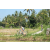 Team 69 / Raid l'Arbre Vert Amazones Bali - VTT