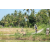Team 69 / Raid l'Arbre Vert Amazones Bali - VTT