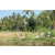 Team 37 / Raid l'Arbre Vert Amazones Bali - VTT