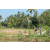 Team 37 / Raid l'Arbre Vert Amazones Bali - VTT