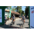 Team 01 / Raid l'Arbre Vert Amazones Bali - VTT