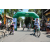 Team 28 / Raid l'Arbre Vert Amazones Bali - VTT