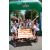 Team 65 / Raid l'Arbre Vert Amazones Bali - VTT
