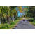 Team 49 / Raid l'Arbre Vert Amazones Bali - VTT