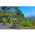Team 49 / Raid l'Arbre Vert Amazones Bali - VTT
