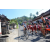 Team 11 / Raid l'Arbre Vert Amazones Bali - VTT
