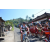 Team 11 / Raid l'Arbre Vert Amazones Bali - VTT