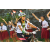 Team 15 / Raid l'Arbre Vert Amazones Bali - VTT