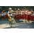 Team 65 / Raid l'Arbre Vert Amazones Bali - VTT