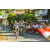 Team 63 / Raid l'Arbre Vert Amazones Bali - VTT