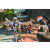 Team 66 / Raid l'Arbre Vert Amazones Bali - VTT