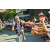 Team 66 / Raid l'Arbre Vert Amazones Bali - VTT