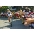 Team 51 / Raid l'Arbre Vert Amazones Bali - VTT